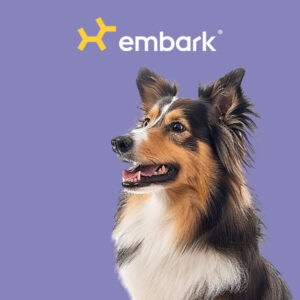 embark