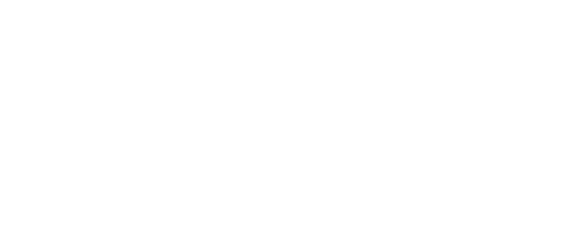 feit-logo