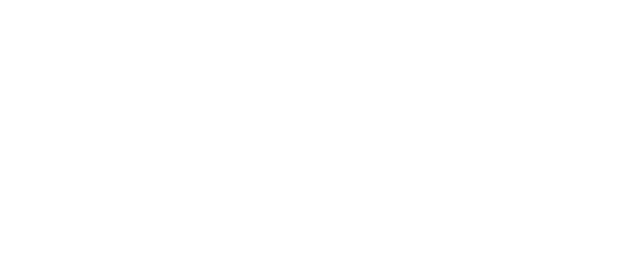feit-logo