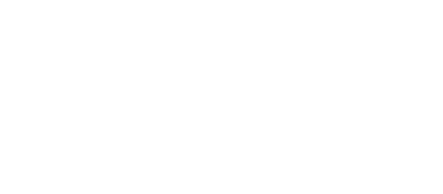 lizzie-fortunato-logo