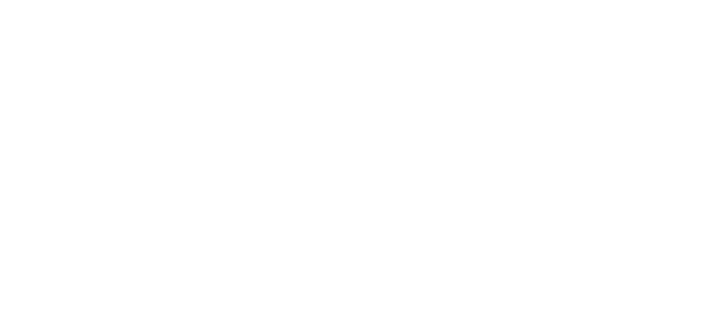 lizzie-fortunato-logo